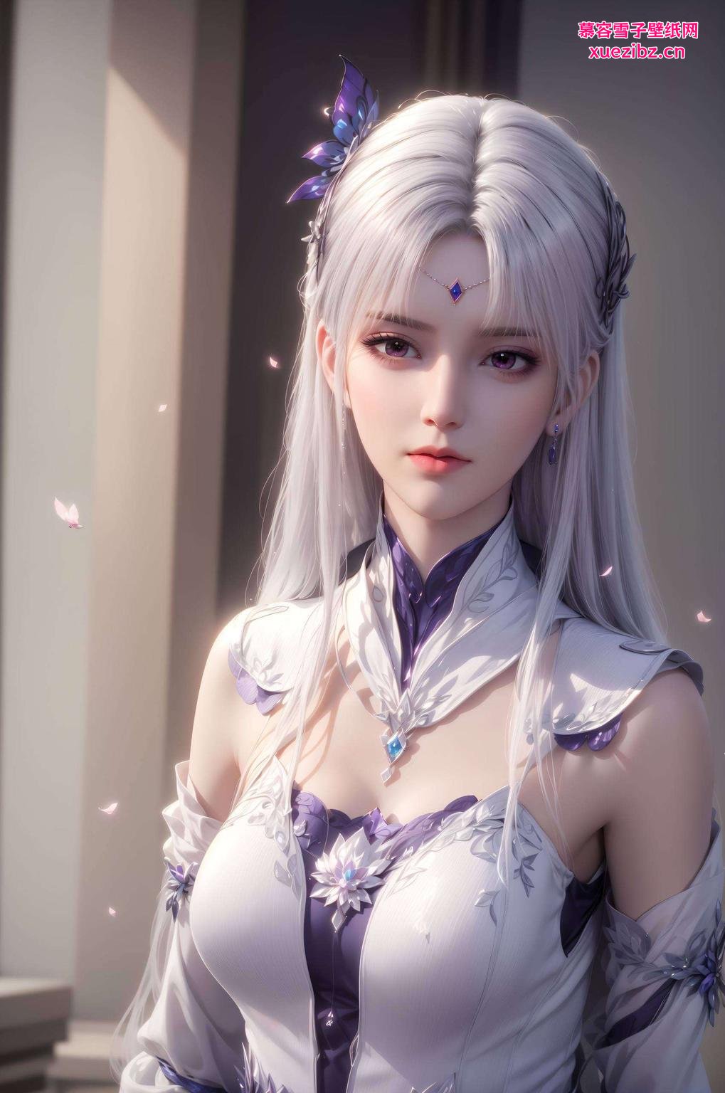 动态效果生动享受视觉盛宴！